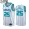 Maglia Charlotte Hornets PJ Washington 25 Jordan Association Edition Swingman Bianco - Bambino