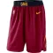 Pantaloncini Cleveland Cavaliers Icon Edition Swingman - Uomo