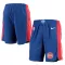 Pantaloncini Detroit Pistons Icon Edition Swingman - Uomo
